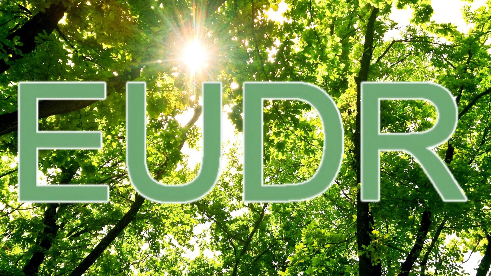 关于EUDR(欧盟零毁林法案)的清晰解读